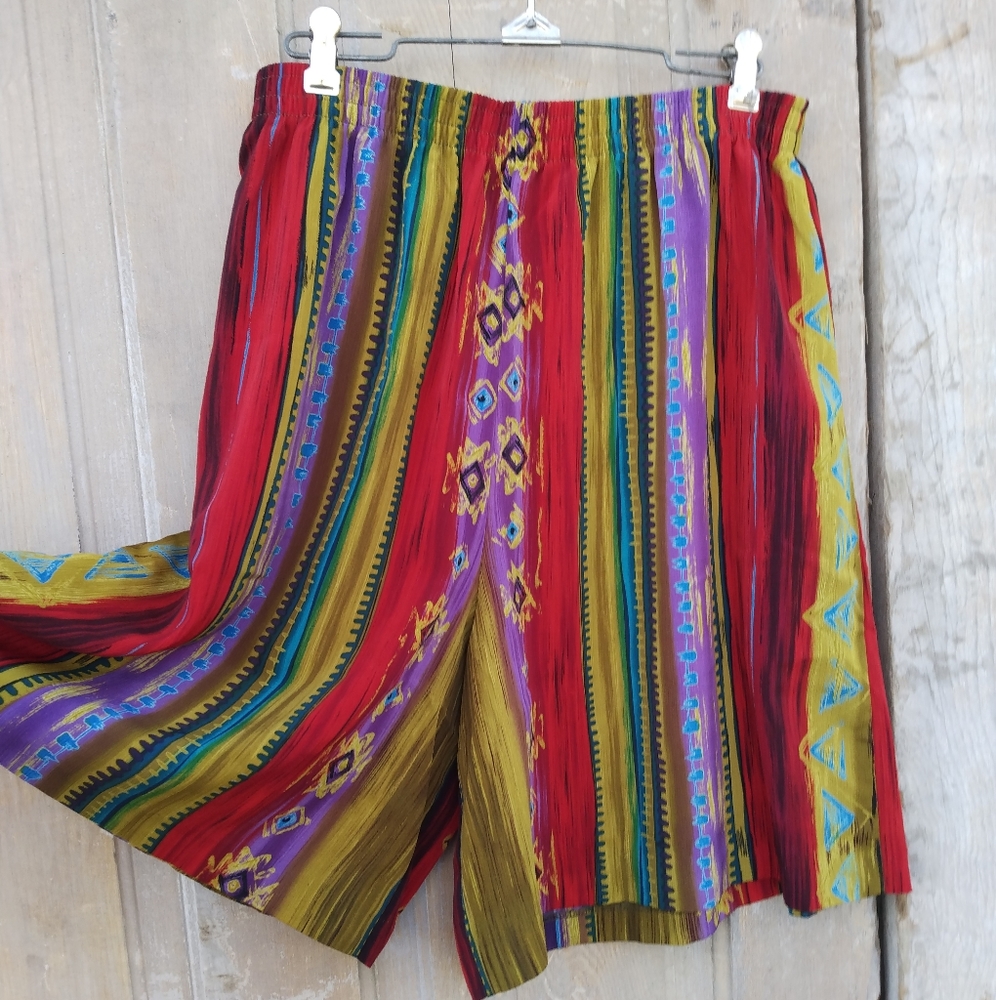 Vintage Multi Color Shorts